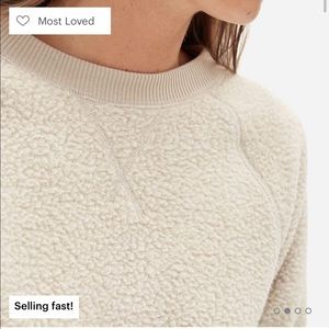 Everlane Renew fleece